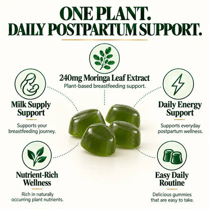 Fuller Bottles in 5 Days With the 13-Nutrient Moringa Gummy